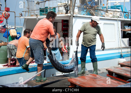 I pescatori di pesce spada di scarico dalla barca, Garrucha, Spagna Foto Stock