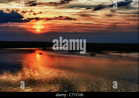 Tramonto su paludi in mortagne (sur Gironde, estuario Gironde, sud della Charente Maritime reparto, a ovest della Francia Foto Stock