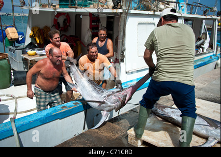 I pescatori di pesce spada di scarico dalla barca, Garrucha, Almeria, Spagna Foto Stock