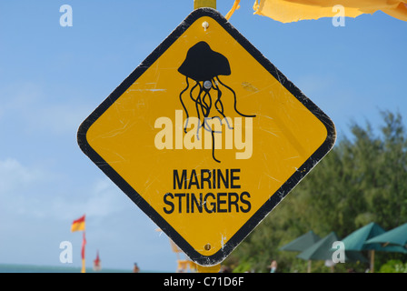 Segnale di avvertimento per marine stinger, isola verde, della grande barriera corallina, Queensland, Australia Foto Stock