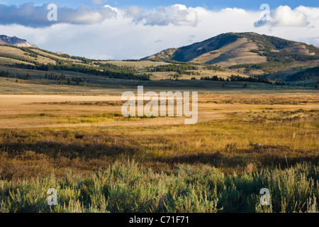 Praterie e sagebrush prato in valle con vista di Gallatin montagne del Parco Nazionale di Yellowstone in Wyoming. Foto Stock