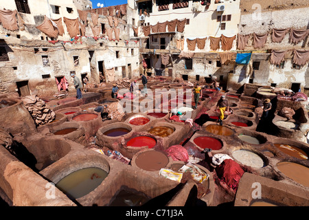 Chouwara tradizionale in pelle di conceria vecchio Fez, tini per la concia e tintura di cuoio Cuoi e pelli, Fez, in Marocco, Africa del Nord Foto Stock