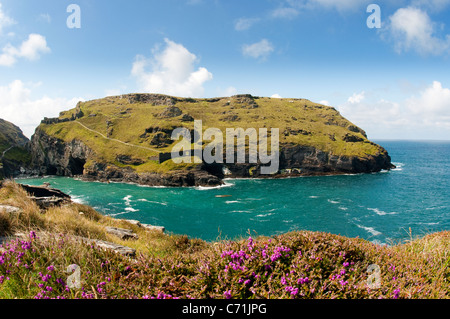 I resti del castello di Tintagel, il leggendario luogo di nascita di Re Artù sulla penisola di Tintagel, Cornwall, Inghilterra. Foto Stock