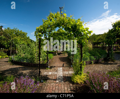 L'erba e Potager Giardini in giugno, RHS Rosemoor, Devon, Inghilterra, Regno Unito Foto Stock