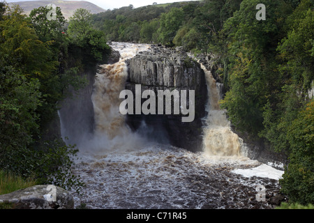 Il Fiume Tees a forza elevata in cascata in condizioni di allagamento Teesdale superiore County Durham Regno Unito Foto Stock