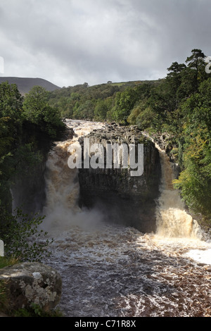 Il Fiume Tees a forza elevata in cascata in condizioni di allagamento Teesdale superiore County Durham Regno Unito Foto Stock