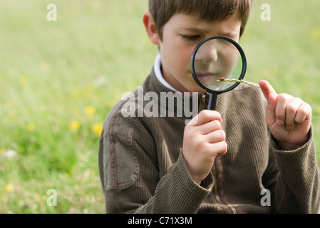 Ragazzo studiare ladybug con lente di ingrandimento Foto Stock