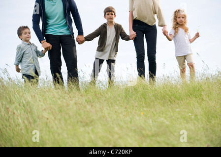 Famiglia camminando mano nella mano in campo, ritagliato Foto Stock