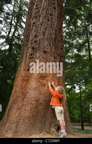 Bambina raggiungendo a toccare tall tree Foto Stock