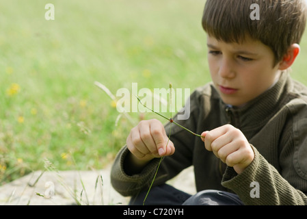 Ragazzo seduto in erba, guardando la coccinella strisciando sul ramoscello Foto Stock