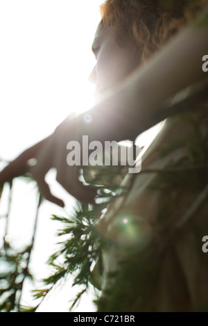 Donna di toccare il ramo di un albero sagomato con Sun Foto Stock