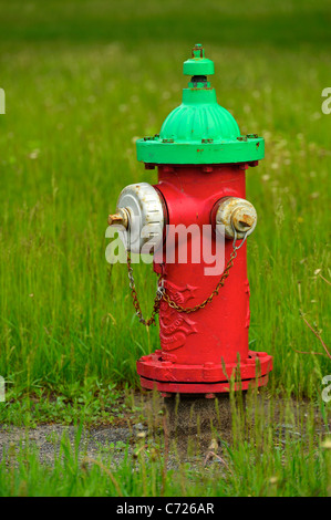 Un rosso idrante di fuoco in un prato verde, Plattsburgh NY Foto Stock