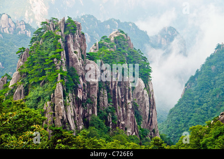 In cima in giallo le montagne sacre Huangshan in Cina Foto Stock