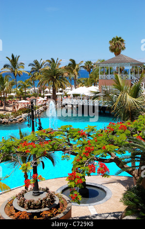 Flame Tree con fiori di colore rosso (Delonix regia) vicino alla piscina, open-air ristorante presso hotel di lusso, isola di Tenerife, Spagna Foto Stock