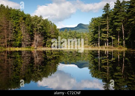 Aquila Rossa stagno in Albany, New Hampshire USA durante i mesi di estate Foto Stock