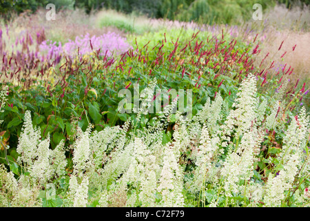 Il Millenium Giardino a Pensthorpe riserva naturale, Norfolk, Regno Unito, è stato progettato da Piet Oudolf, Foto Stock