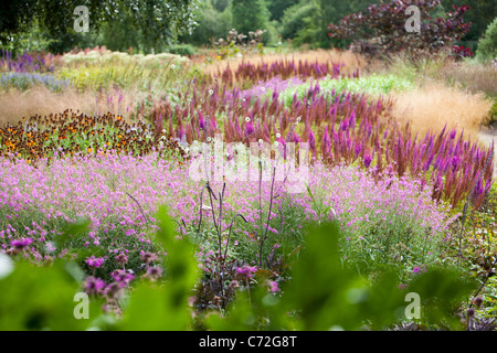 Il Millenium Giardino a Pensthorpe riserva naturale, Norfolk, Regno Unito, è stato progettato da Piet Oudolf, Foto Stock