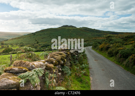 Uno stretto vicolo del paese e il muro di pietra che conduce ad una Tor in distanza - paesaggio shot. Foto Stock
