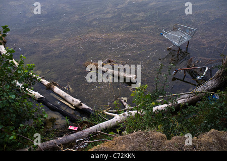 Per lettiera in un luogo di bellezza, carrello per supermercati, lago di lettiera, detriti, teppismo Foto Stock