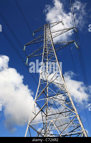 La distribuzione di energia elettrica pilone visto entro il Trossachs in Scozia, Regno Unito. Foto Stock