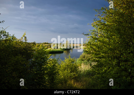 Fenland lago, vecchia cava in Cambridgeshire, lago, terreni bonificati, Foto Stock