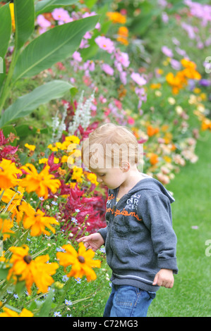 Un ragazzino ammirando fiori, Southover Grange giardini, Lewes, East Sussex, Inghilterra Foto Stock