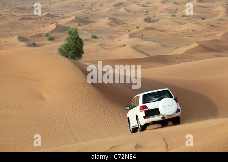 Traversata delle Dune in Dubai Emirati Arabi Uniti Foto Stock