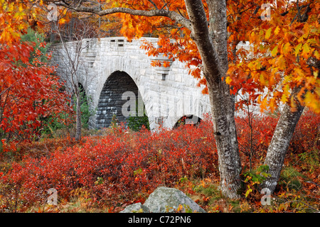 Carro ponte stradale incorniciato da fogliame di autunno, isola di Mount Desert, Parco Nazionale di Acadia, vicino a Bar Harbor, Maine, Stati Uniti d'America Foto Stock