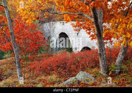 Carro ponte stradale incorniciato da fogliame di autunno, isola di Mount Desert, Parco Nazionale di Acadia, vicino a Bar Harbor, Maine, Stati Uniti d'America Foto Stock