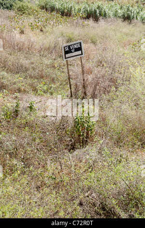 In vendita sign in spagnolo (se vendôme) nel campo in Spagna Foto Stock