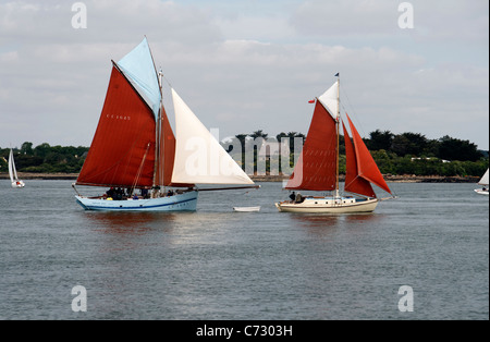 Marche - Avec : taglierina sardina (Concarneau), vela in Douarnenez bay (Brittany, Francia). Foto Stock