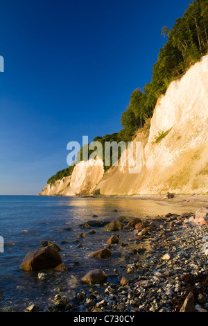 Chalk scogliere a sunrise nel Jasmund National Park, Ruegen Isola, Meclemburgo-Pomerania Occidentale, Germania, Europa Foto Stock