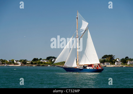 La Mouette Rieuse : Gaff cutter, barca a vela nel Golfo di Morbiban durante la settimana del Golfo (Brittany, Francia). Foto Stock