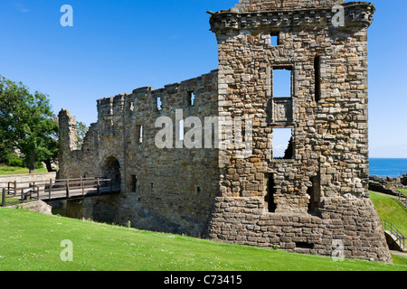 Rovine di St Andrews, St Andrews Fife, Scozia centrale, REGNO UNITO Foto Stock