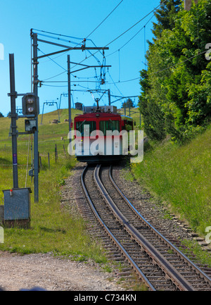 Un treno scendendo dal monte Rigi, Svizzera Foto Stock