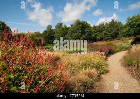 Il millennium giardino, pensthorpe, Norfolk, Inghilterra Foto Stock