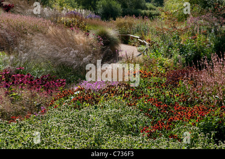 Il millennium giardino, pensthorpe, Norfolk, Inghilterra Foto Stock