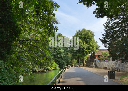 Percorso lungo le rive del fiume Itchen vicino al centro della città, a Winchester, Hampshire, Inghilterra, Regno Unito Foto Stock