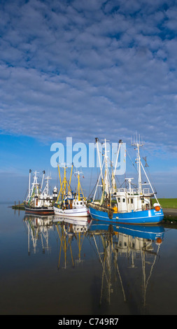Barche da pesca ormeggiate nel porto di Wremen, Germania Foto Stock