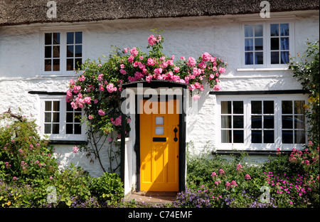 Cottage con sportello giallo e rose. Foto Stock