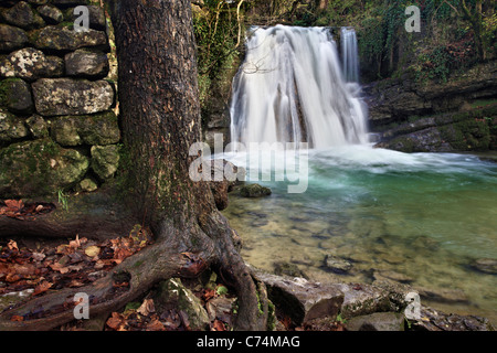 Cascata pittoresca conosciuta come 'Janets Foss' in Malhamdale nel Yorkshire Dales di Inghilterra Foto Stock