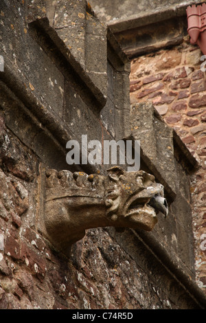 Erogatore d'acqua Gargoyle sulla parete del Priory chiesa di San Giorgio nel villaggio di Dunster, Parco Nazionale di Exmoor, Somerset, Regno Unito. Foto Stock
