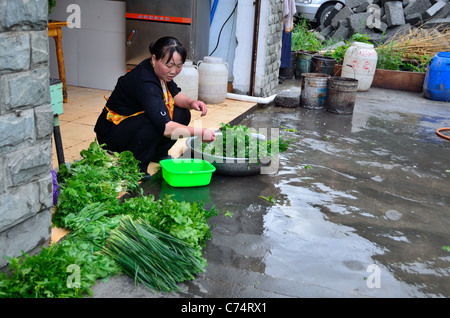 Una giovane donna il lavaggio della verdura di fronte alla sua casa. Sichuan, in Cina. Foto Stock