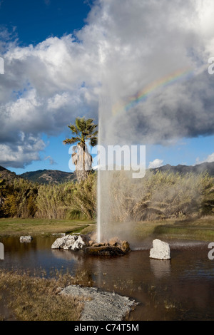 Un naturale geyser di acqua di tiro fuori della terra e nell'aria Foto Stock