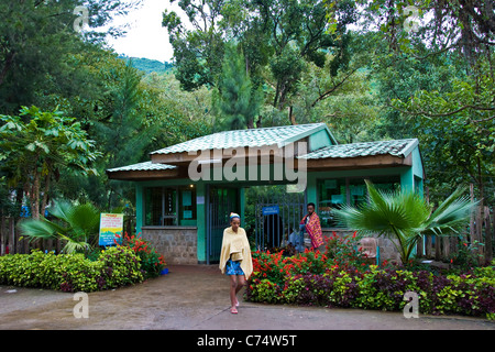 Wendo Genet hot springs, Etiopia Foto Stock