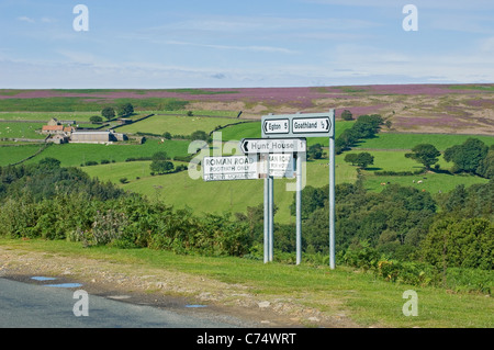 Cartello per la strada romana vicino a Goathland in estate North York Moors North Yorkshire Inghilterra Regno Unito GB Gran Bretagna Foto Stock