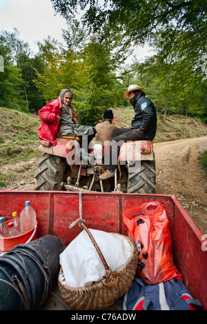 Famiglia contadina in un trattore con un rimorchio di andare a lavorare sul campo, fresatrici Foto Stock