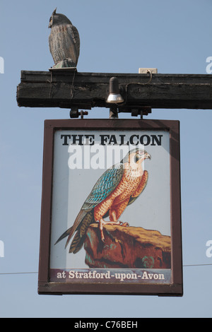 Pub segno per il Falcon hotel e public house in Stratford Upon Avon, Warwickshire, Regno Unito. Foto Stock