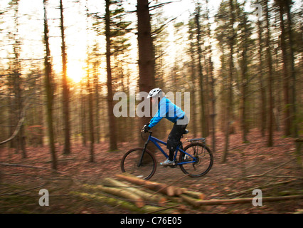 Femmina mountain biker in blu in alto nel bosco Foto Stock