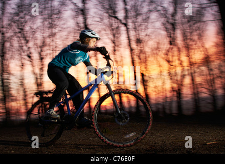 Femmina / ragazza Mountain Biker in alberi al tramonto Foto Stock